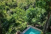 Bidadari Private Villas & Retreat Ubud  Hotel